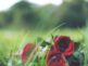 Loss and Grief Awareness Training
