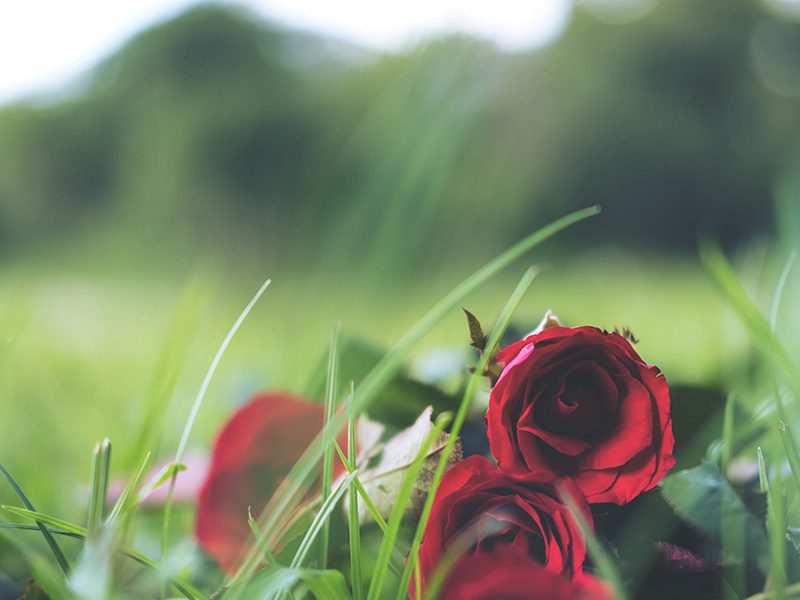 Loss and Grief Awareness Training